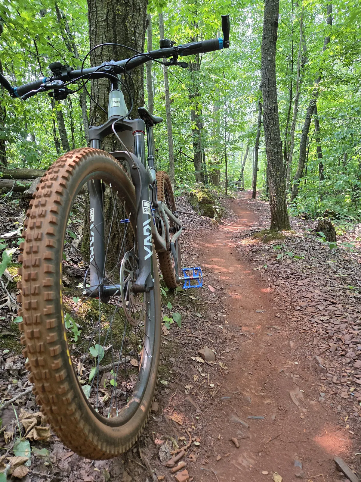 A mountain bike parked on singletrack in the Cuyuna Country State Recreation Area, cut through iron-red mine soil under summer canopy